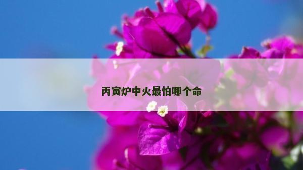 丙寅爐中火最怕哪個命