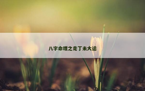 八字命理之走丁未大運