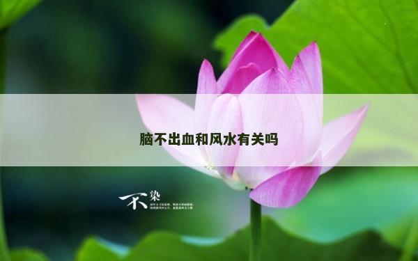 腦不出血和風水有關嗎