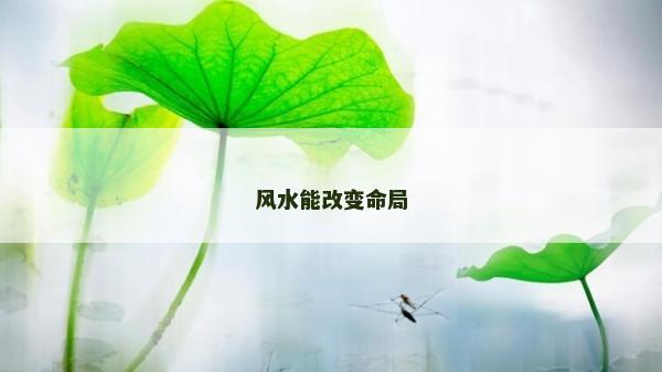 風水能改變命局