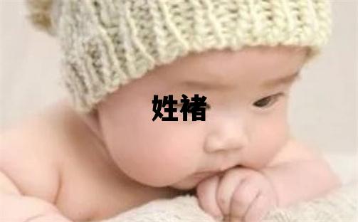姓褚叫什么名字好 姓褚的男孩冷門獨特的名字