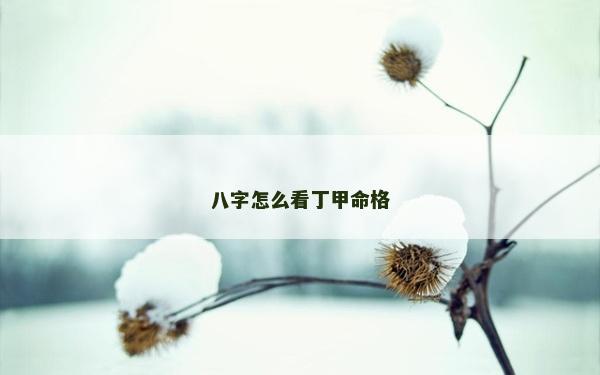 八字怎么看丁甲命格