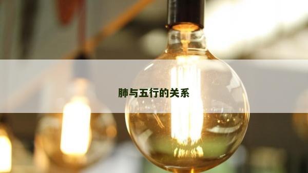 肺與五行的關系