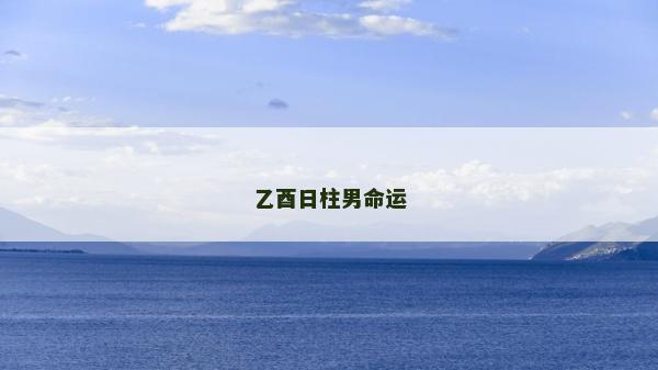乙酉日柱男命運