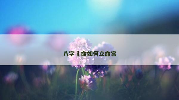 八字箄命如何立命宮