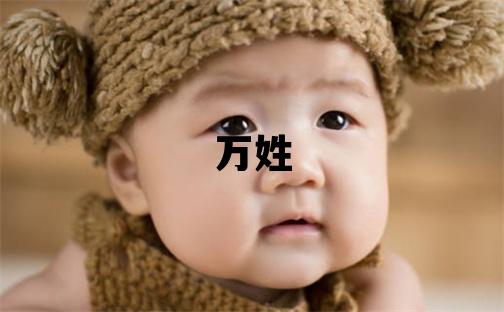 萬姓取名優美大方的男寶寶名字
