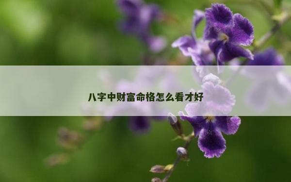 八字中財富命格怎么看才好