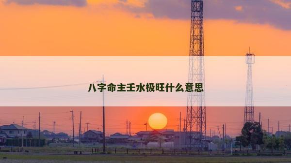 八字命主壬水極旺什么意思
