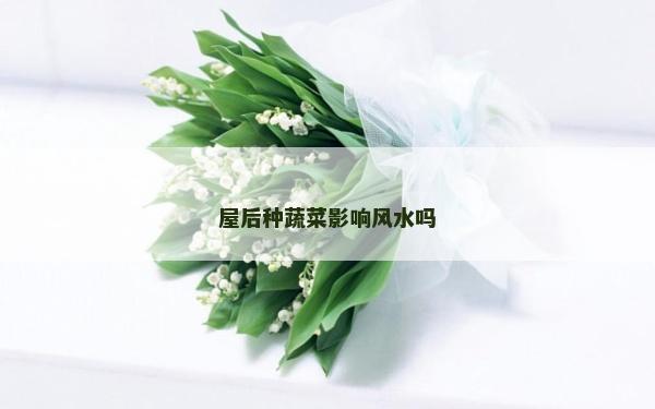 屋后種蔬菜影響風水嗎