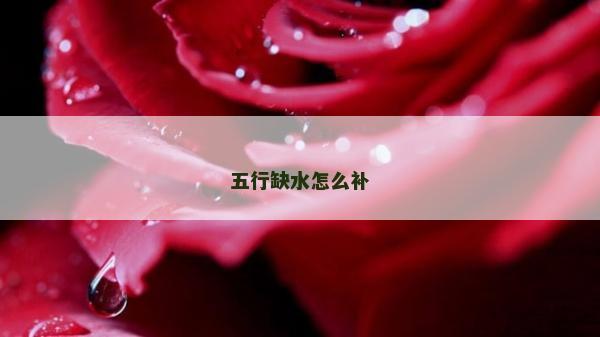 五行缺水怎么補