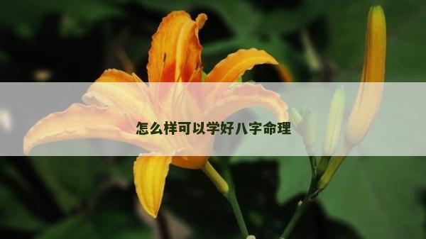 怎么樣可以學好八字命理