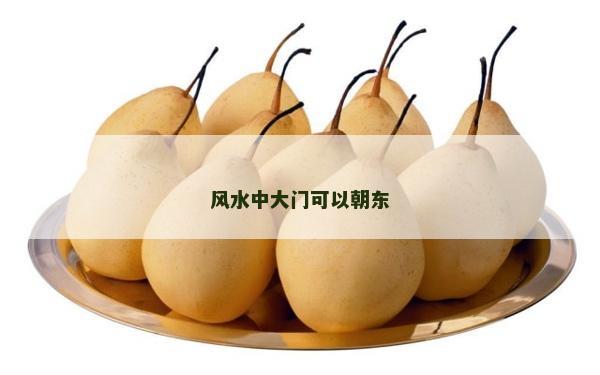 風水中大門可以朝東