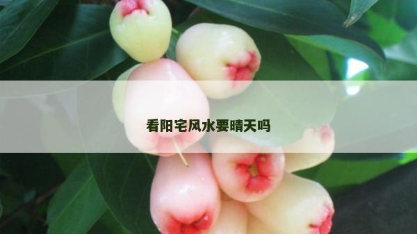 看陽宅風水要晴天嗎