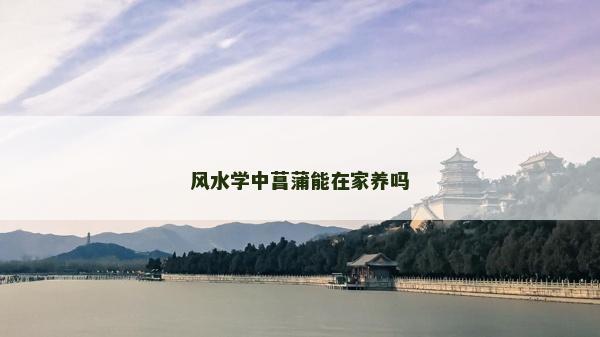 風水學中菖蒲能在家養嗎