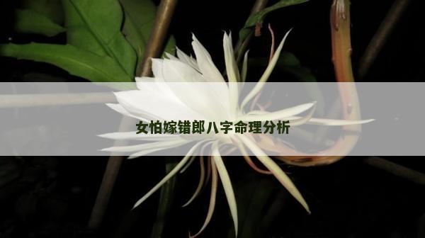 女怕嫁錯郎八字命理分析