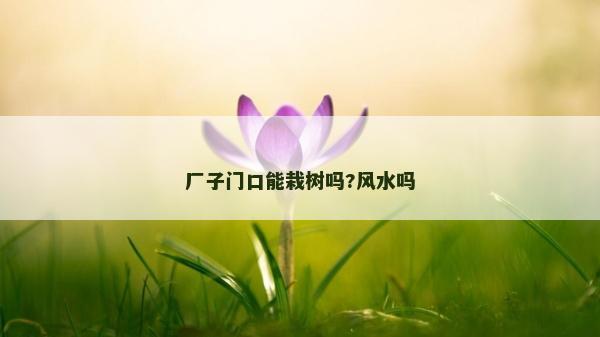 廠子門口能栽樹嗎?風水嗎