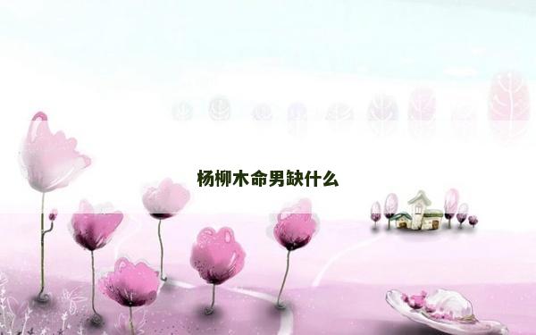 楊柳木命男缺什么