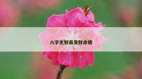 八字無財而發(fā)財命格