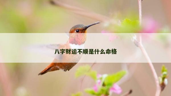 八字財(cái)運(yùn)不順是什么命格 八字財(cái)運(yùn)不順是什么命格