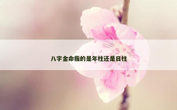 八字金命指的是年柱還是日柱