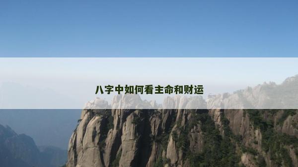 八字中如何看主命和財運