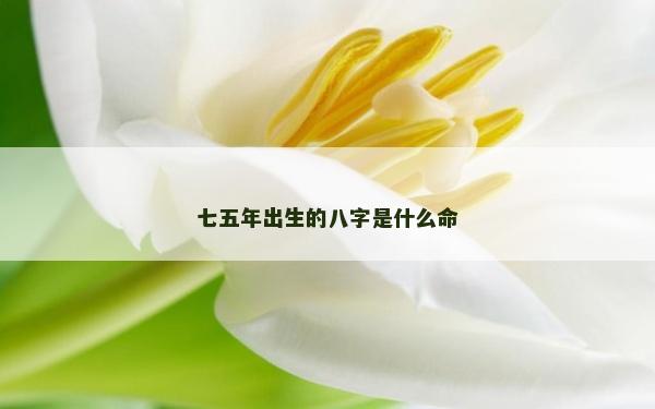 七五年出生的八字是什么命