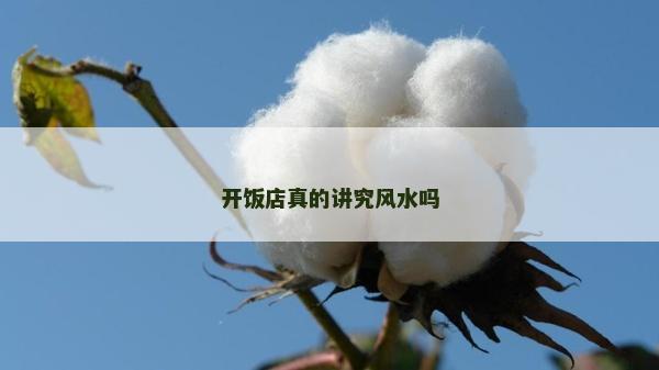 開飯店真的講究風水嗎 開飯店真的講究風水嗎