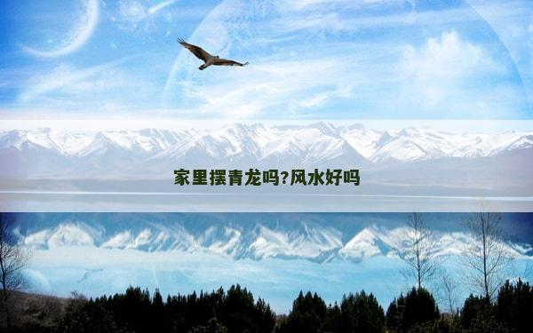 家里擺青龍嗎?風水好嗎