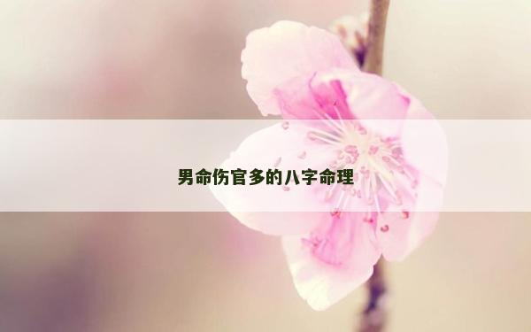 男命傷官多的八字命理
