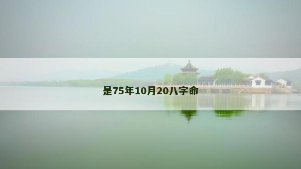 是75年10月20八字命