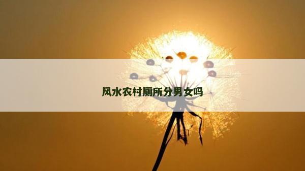 風(fēng)水農(nóng)村廁所分男女嗎 風(fēng)水農(nóng)村廁所分男女嗎
