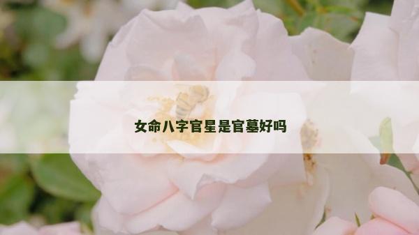 女命八字官星是官墓好嗎 女命八字官星是官墓好嗎