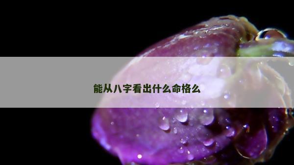 能從八字看出什么命格么