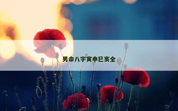 男命八字寅申巳亥全
