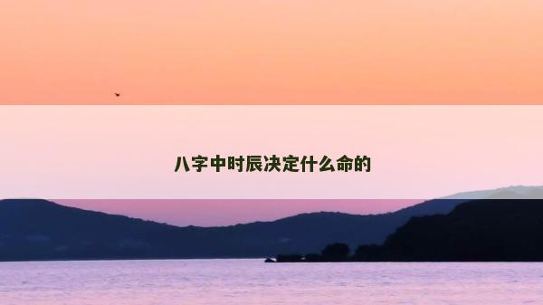 八字中時辰決定什么命的