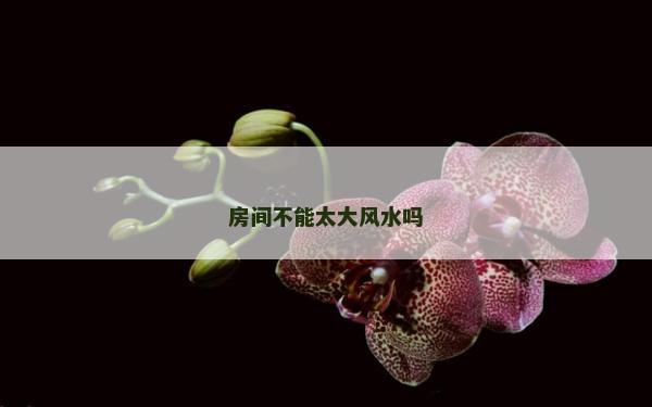 房間不能太大風水嗎