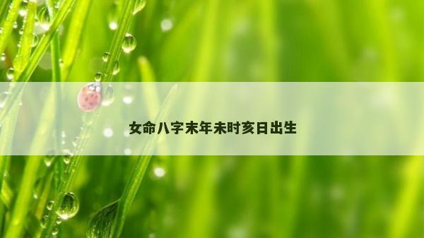 女命八字末年未時亥日出生