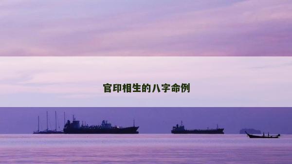 官印相生的八字命例