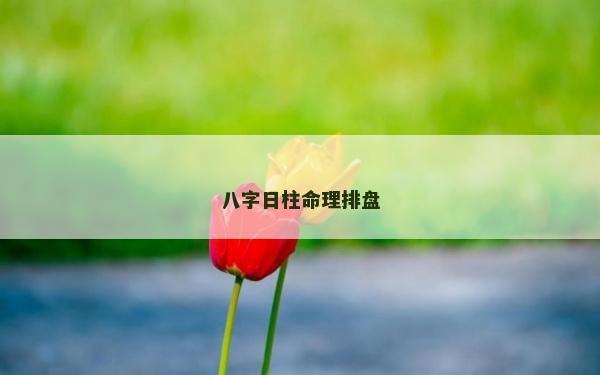 八字日柱命理排盤
