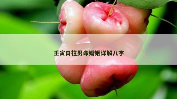 壬寅日柱男命婚姻詳解八字