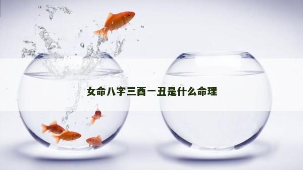 女命八字三酉一丑是什么命理 女命八字三酉一丑是什么命理