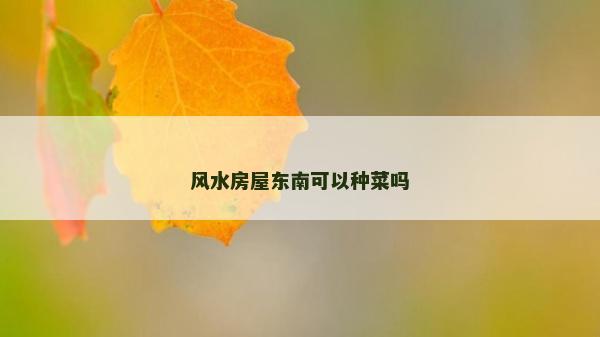 風水房屋東南可以種菜嗎