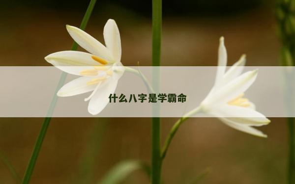 什么八字是學霸命