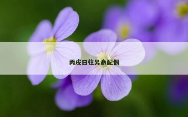 丙戌日柱男命配偶 丙戌日柱男命配偶