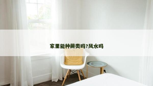 家里能種蕨類嗎?風(fēng)水嗎