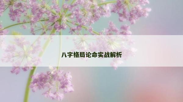 八字格局論命實戰解析