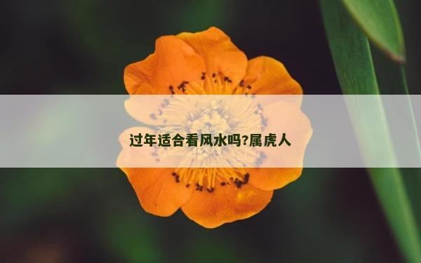 過年適合看風水嗎?屬虎人