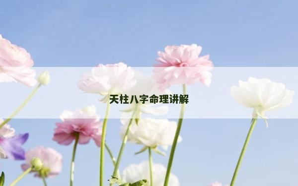 天柱八字命理講解