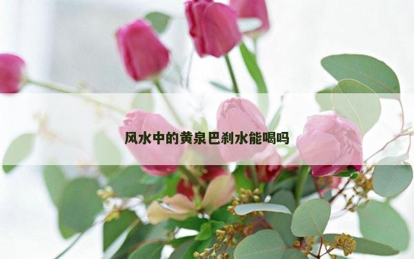 風水中的黃泉巴剎水能喝嗎