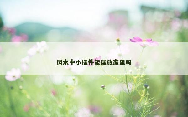 風水中小擺件能擺放家里嗎